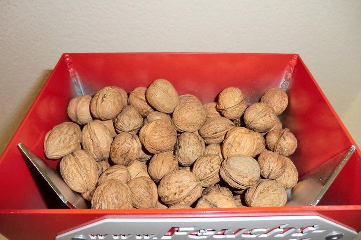 Produktbild Feucht Obsttechnik Nussknacker Knacki Junior