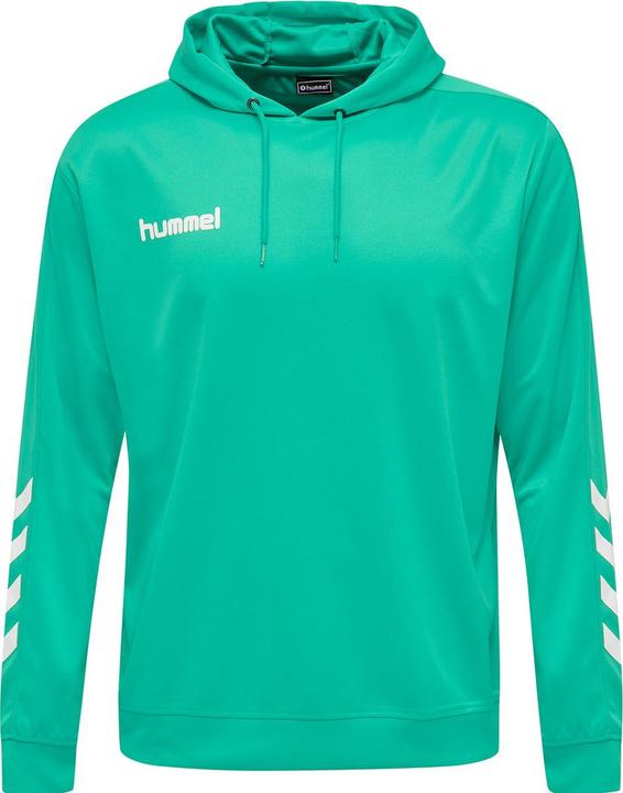 Immagine prodotto hummel Felpa Con Cappuccio In Polietilene Promozionale (XXL)