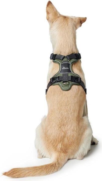 Productafbeelding Hunter Divo servies (L, Hond, Hondensport)