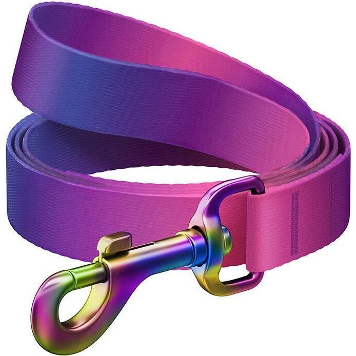 Waudog gradient nylon dog leash, length 122cm, purple (L, Hund, Hundesport), Halsband + Leine