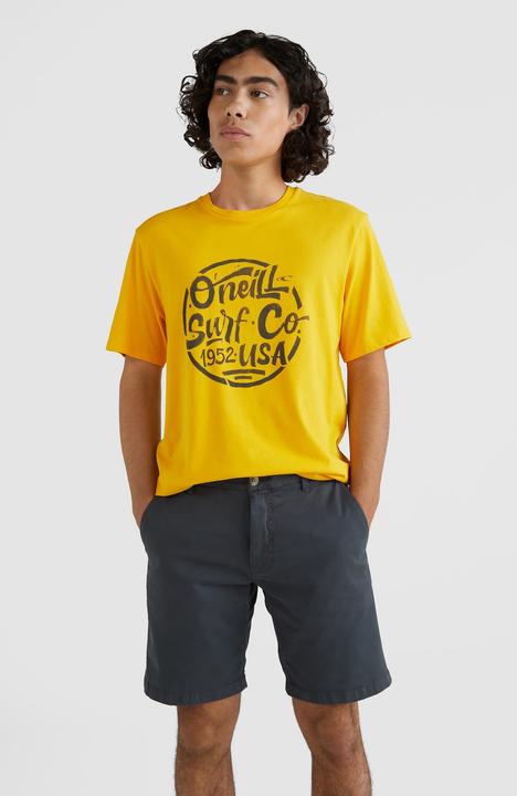 Image du produit O'Neill Short Chino Blanc Homme (36)