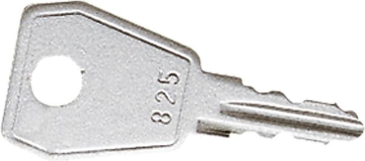 Actual product image JUNG Cabinet key all double bit 825SL