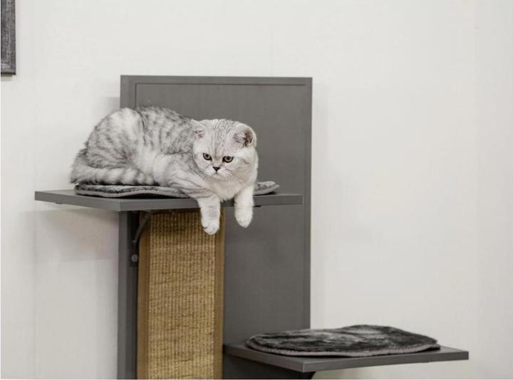 Produktbild Kerbl Alex (152.50 cm, Grey)