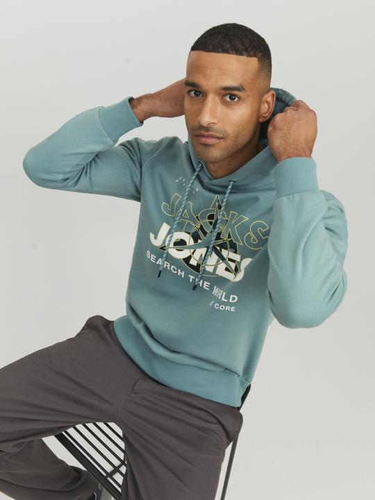 Image du produit Jack & Jones Logo Hoodie (M)