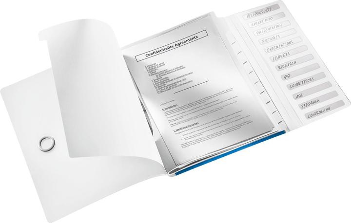 Immagine prodotto Leitz WOW - Cartella con i dipartimenti (A4, 1x)