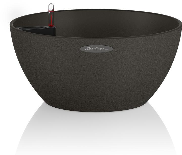 Lechuza Cubeto Color (40 x 18.30 cm)