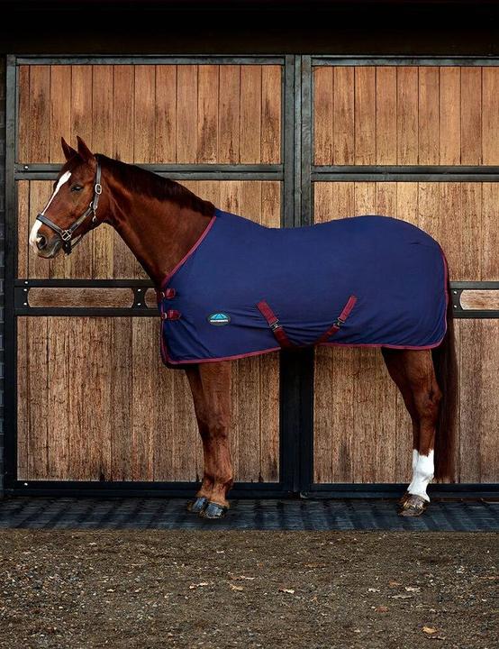 Immagine prodotto Weatherbeeta Coperta (155 cm)