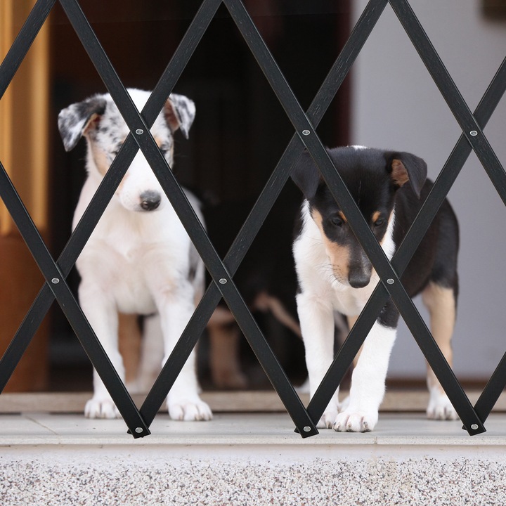 Immagine prodotto Relaxdays Barriera per cani (3 cm)