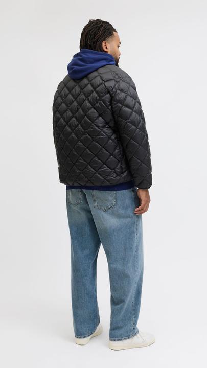 Produktbild Jack & Jones Plus Size Steppjacke Steppjacke (5XL)
