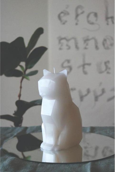 Actual product image 54Celsius PyroPet Kisa (1 pcs.)