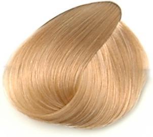 12-46 Cioccolato speciale Beige Biondo