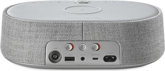 Actual product image Harman/Kardon Citation Oasis (Bluetooth, Wi-Fi)