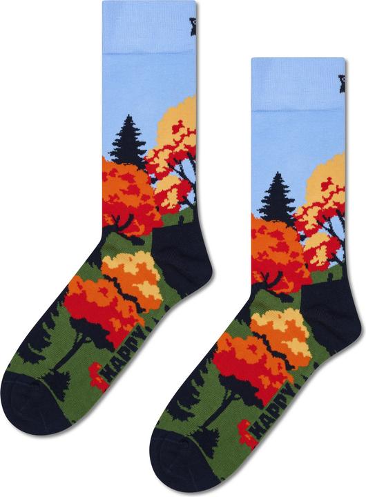 Actual product image Happy Socks Autumn Sock (Single pack, 36 - 40)