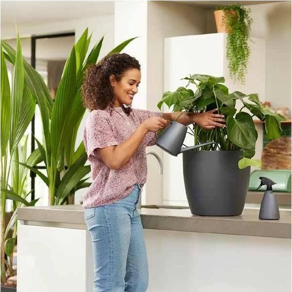Actual product image Elho Brussels (1.80 l)