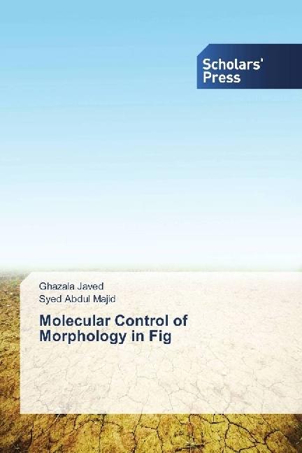 Produktbild Molecular Control of Morphology in Fig (Deutsch, Syed Abdul Majid, Ghazala Javed, 2017)