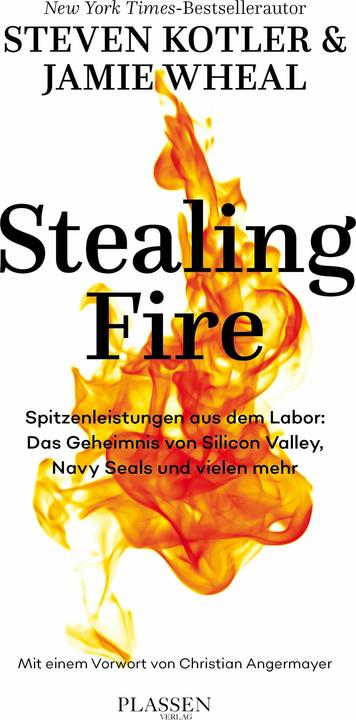 Immagine prodotto Rubare il fuoco (Tedesco, Kotler, Steven/Wheal, 2018)