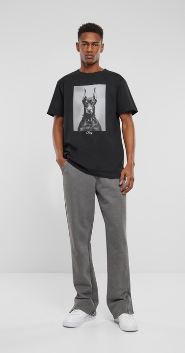 Image du produit Mister Tee Thé Dawg - 131693 (M)