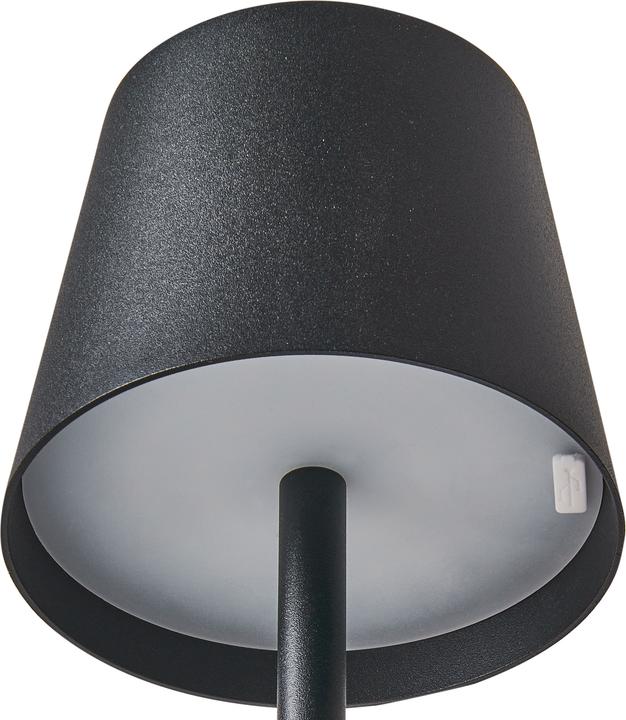 Image du produit Beliani Gavarresa (200 lm)