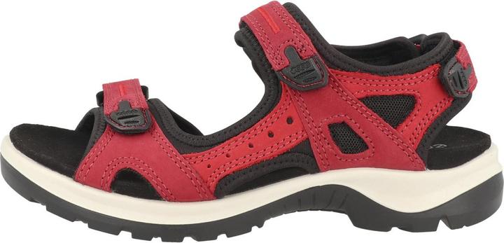 Actual product image Ecco Offroad E - 61555 (42)