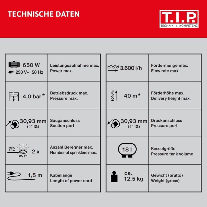 Actual product image T.I.P. Domestic waterworks HWW 3600 (Domestic water pump)