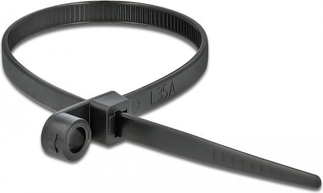 Produktbild Delock Cable Tie with Fastening Eyelet (160 mm, 10 Stk.)