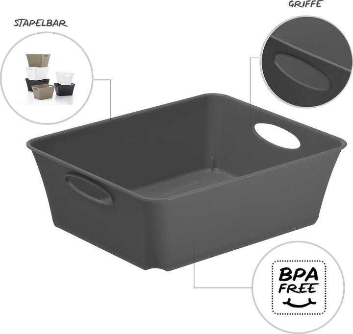 Actual product image Rotho Living (6 x 12 x 16 cm, 0 l)