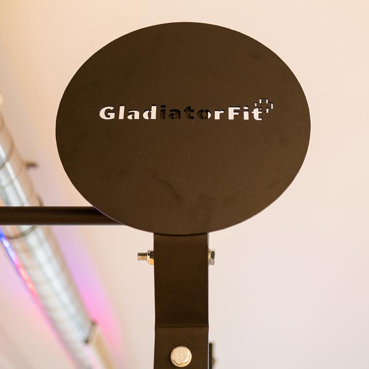 Immagine prodotto Gladiatorfit Obiettivo palla a muro (8 kg, 400 mm)