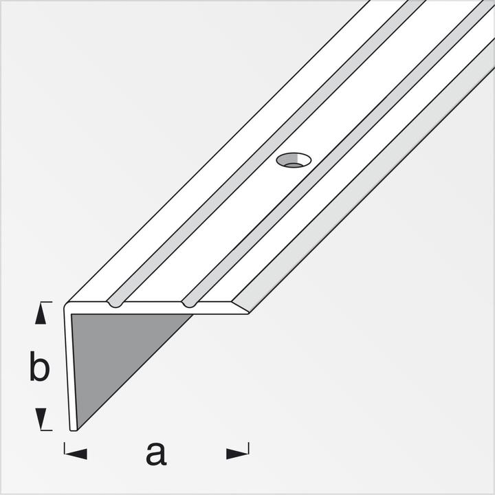 Image du produit Alfer Profilé pour escalier Alu perforé 1m