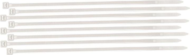 Produktbild Brady Leitungs- und Kabelbinder aus Nylon (Kunststoffkabelbinder, 250 mm, 100 Stk.)