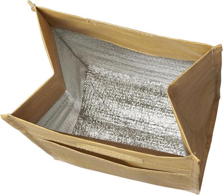 Actual product image Bullet Paper cooler bag