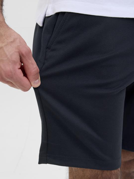 Actual product image Jack & Jones Regular Fit Shorts Shorts (M)