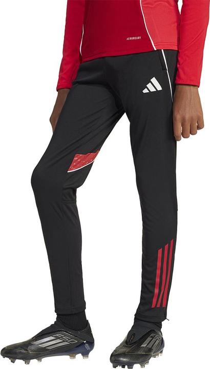 Image du produit adidas TIRO25C TR PNTY (164)