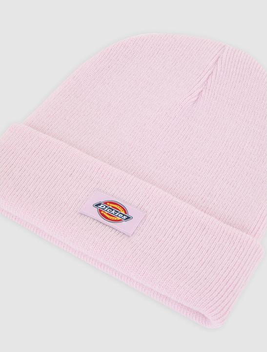 Actual product image Dickies Gibsland Beanie