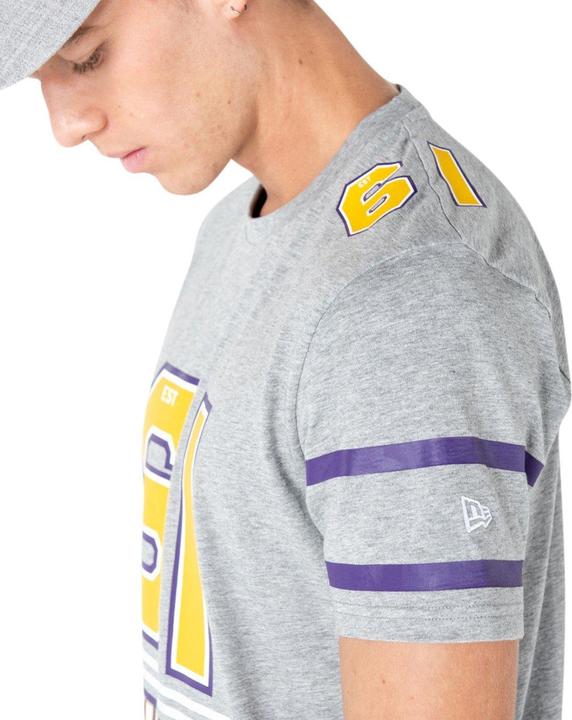 Produktbild New Era Established Minnesota Vikings (L)