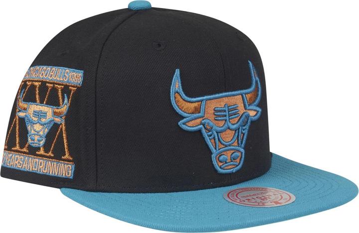 Actual product image Mitchell & Ness Make Cents Chicago Bulls (One size)