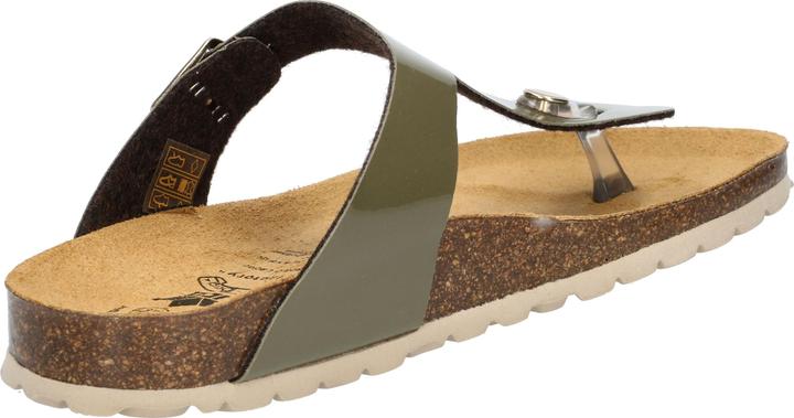 Actual product image Lico Bioline Trend (39)