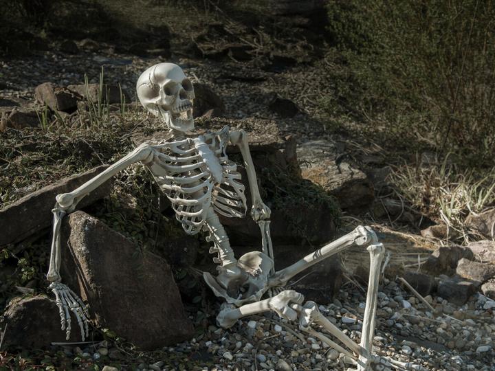 Actual product image Europalms Halloween skeleton, 150 cm