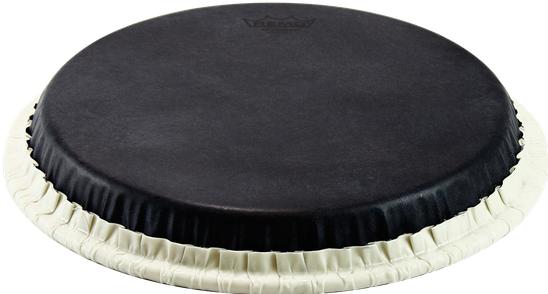 Image du produit Remo Peau de bongo (bongos)