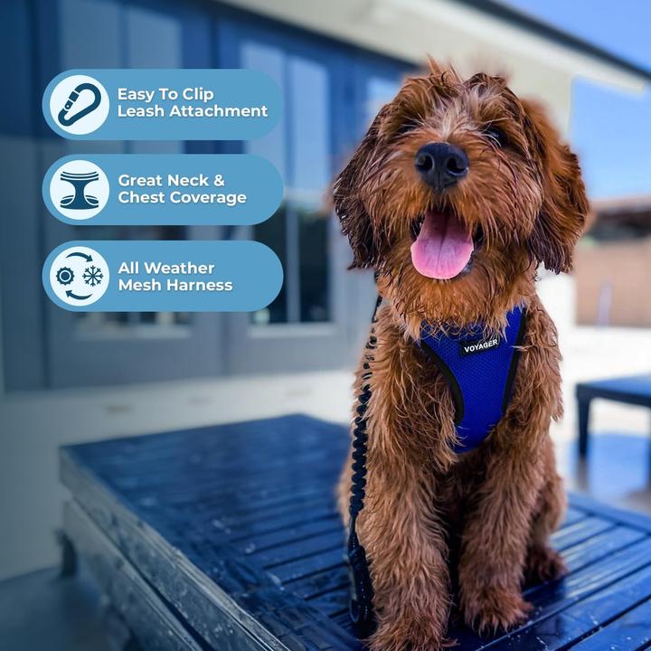 Actual product image Voyager Step-In Air Hundegeschirr (Dog, General)