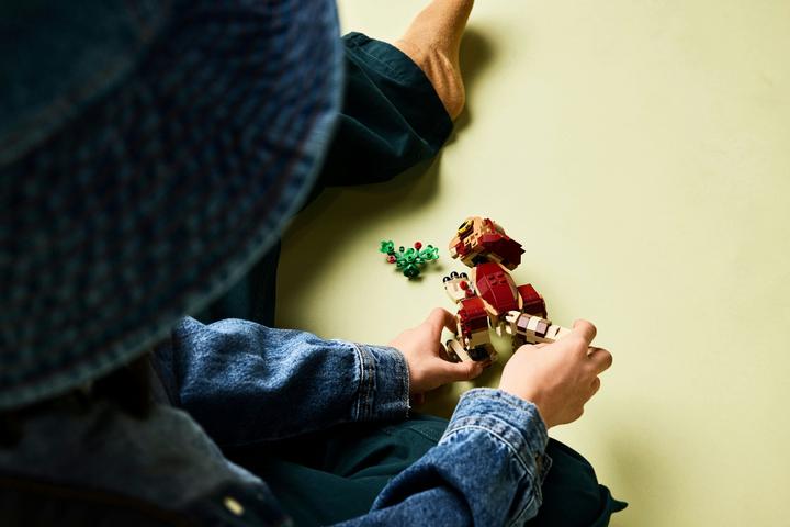 Image du produit LEGO Babydinosaurier Dolores: Aquilops (76970, LEGO Jurassic World)