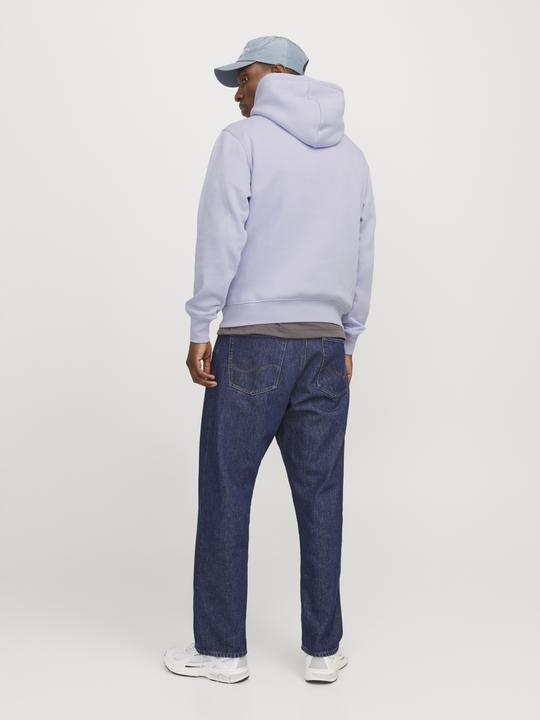 Produktbild Jack & Jones Gedruckt Kapuzenpullover Kapuzenpullover (M)