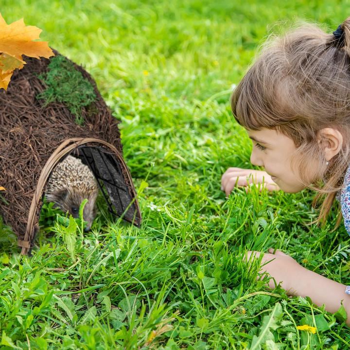 Produktbild Relaxdays Katzenhöhle (Katze)