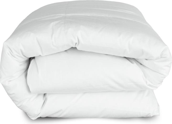 Actual product image DormiGood Premium Daunendecke, 100% Daunen (1130 g, 220 x 230 cm)