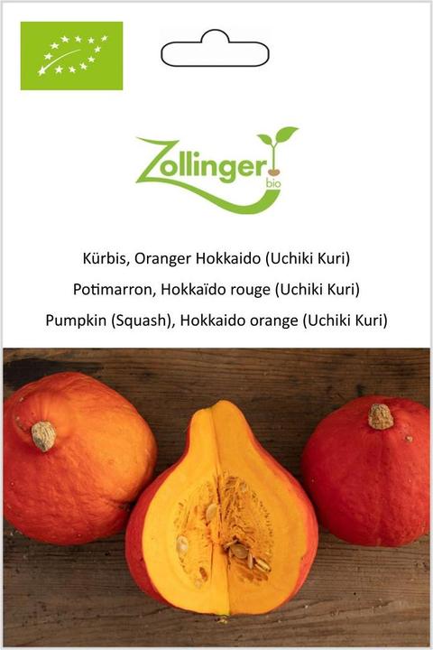 Zollinger Bio Zucca, arancia di Hokkaido (Uchiki Kuri) (Germogli)