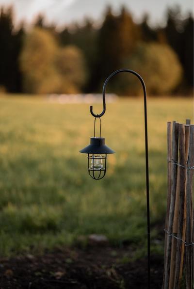 Actual product image Star Trading Candlestick SKOG (1x)