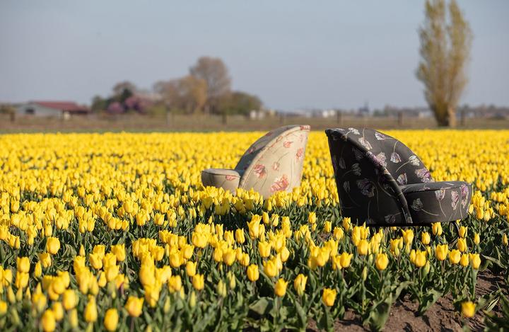 Actual product image Woood Vogue