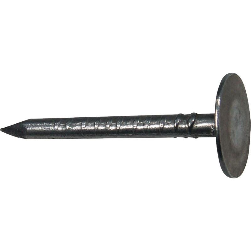 BRW, Nägel, Dachpappen-Nägel blank 2.5 x 25 mm Pack à 2.0 kg (25 mm)