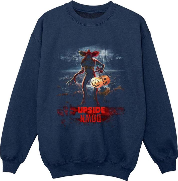 Produktbild Netflix Stranger Things Pumpkin Upside Down Sweatshirt Jungen (128)