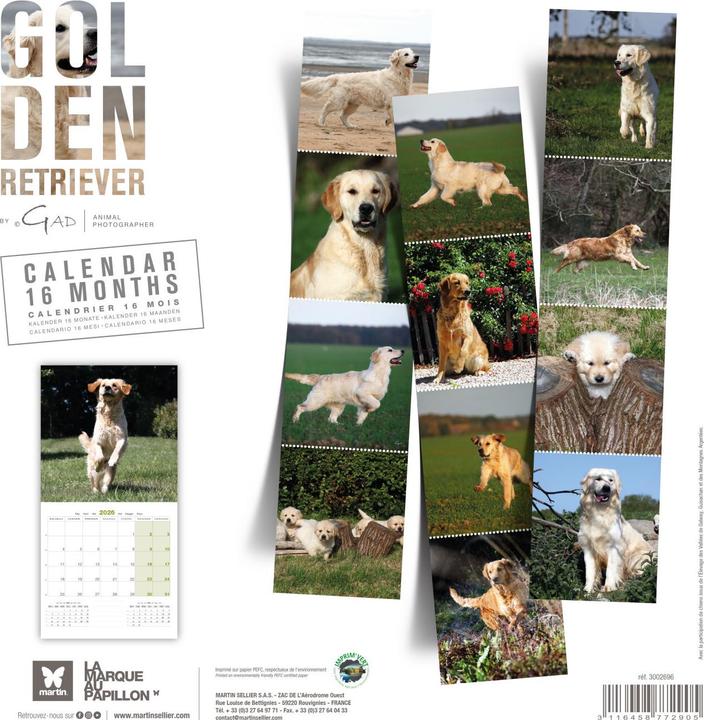 Produktbild Martin Sellier Golden Retriever