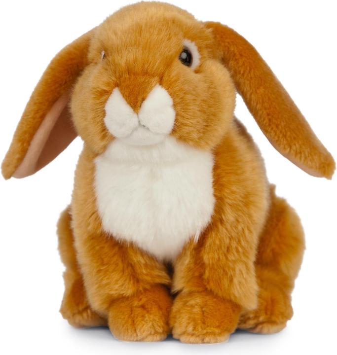 Actual product image Living Nature French floppy ear rabbit light brown (22 cm)